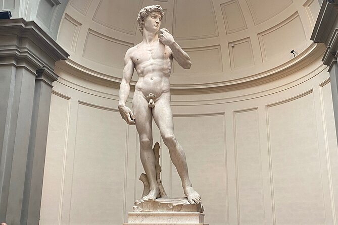 Michelangelo's David at the Accademia Gallery