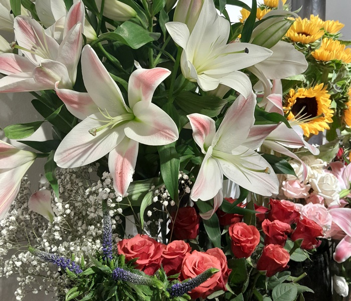 A burst of colour and fragrance awaits at I Fiori della Signoria, a charming little flower shop tucked away on Via della Condotta